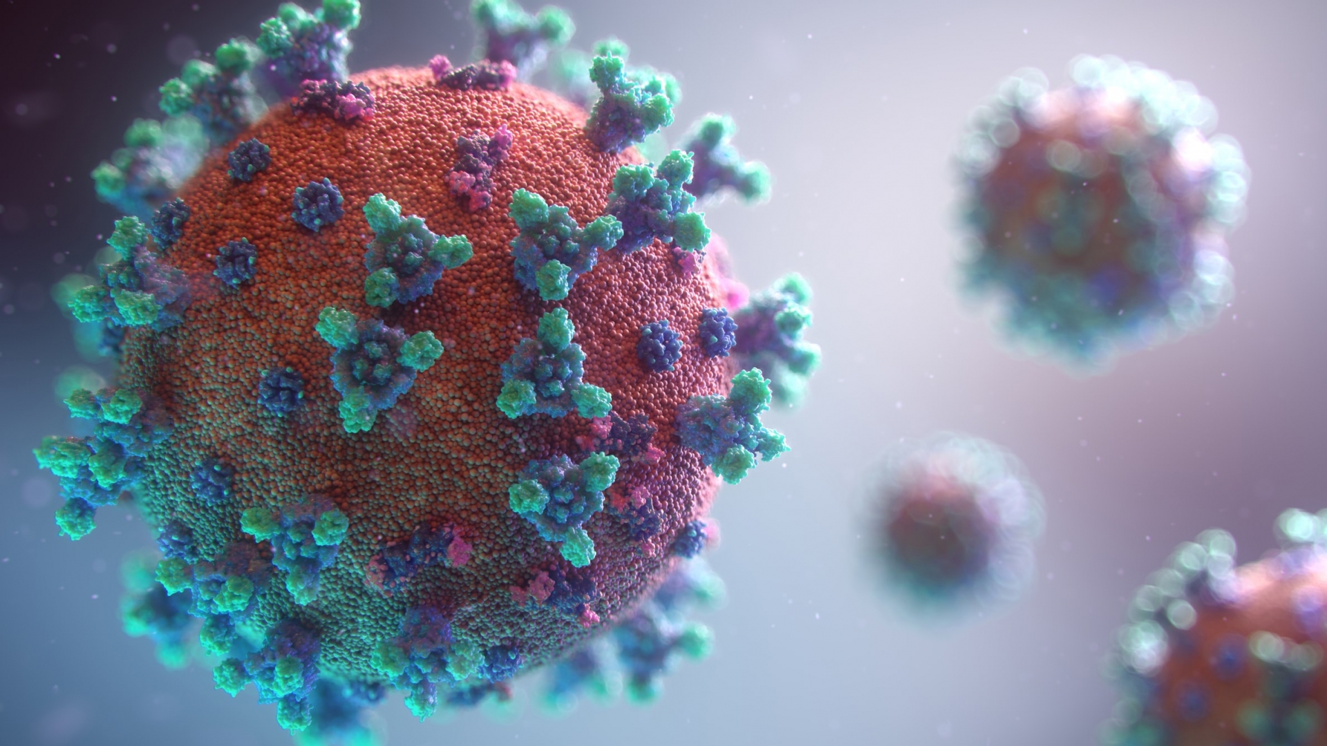 coronovirus image from coindesk